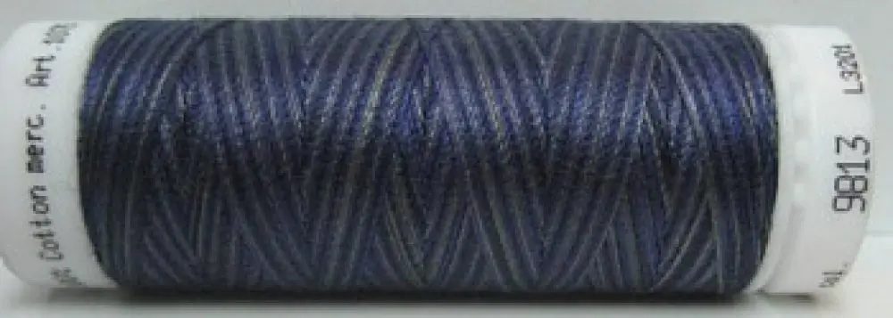 Mettler Silk Finish Multi - m9813