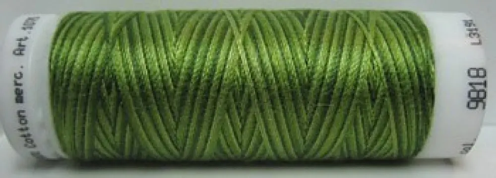 Mettler Silk Finish Multi - m9818