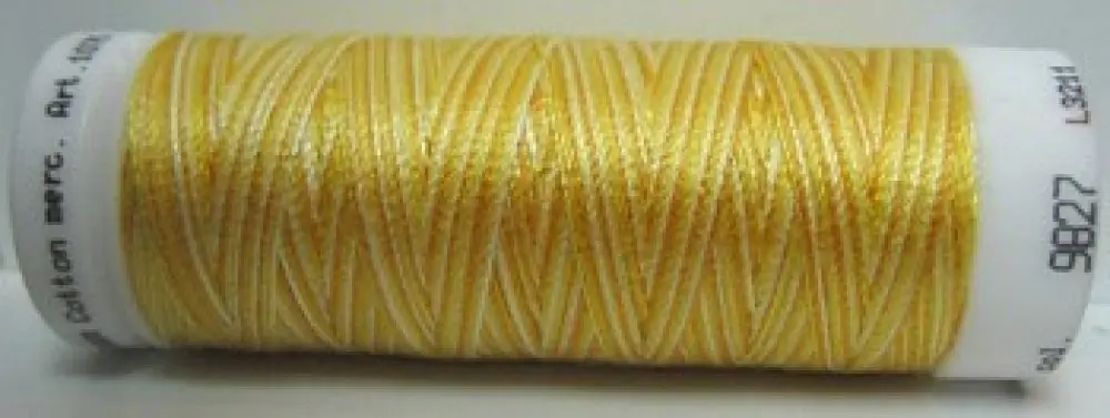 Mettler Silk Finish Multi - m9827