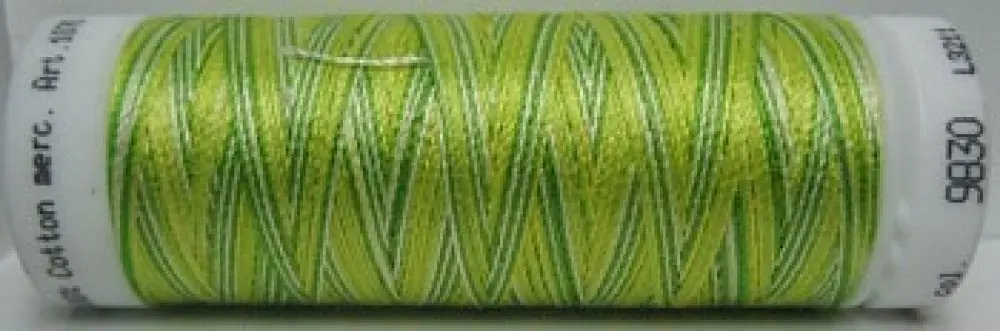 Mettler Silk Finish Multi - m9830