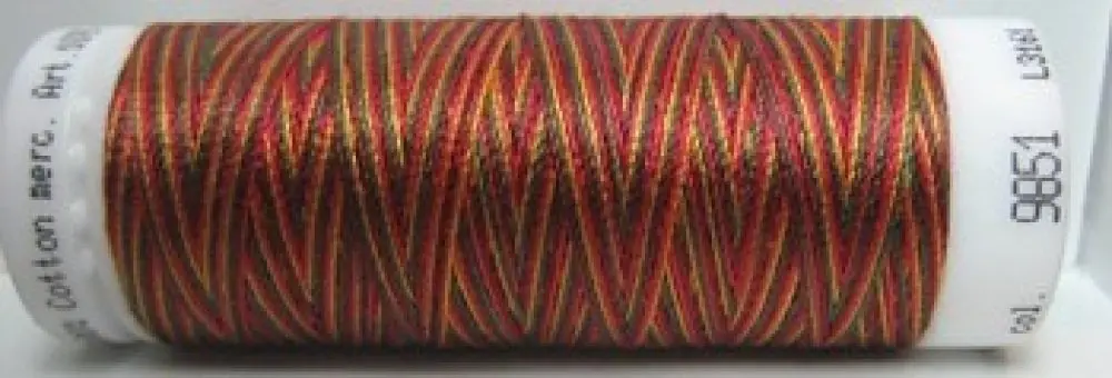Mettler Silk Finish Multi - m9851