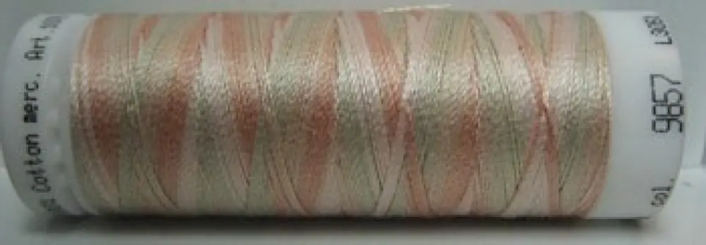 Mettler Silk Finish Multi - m9857